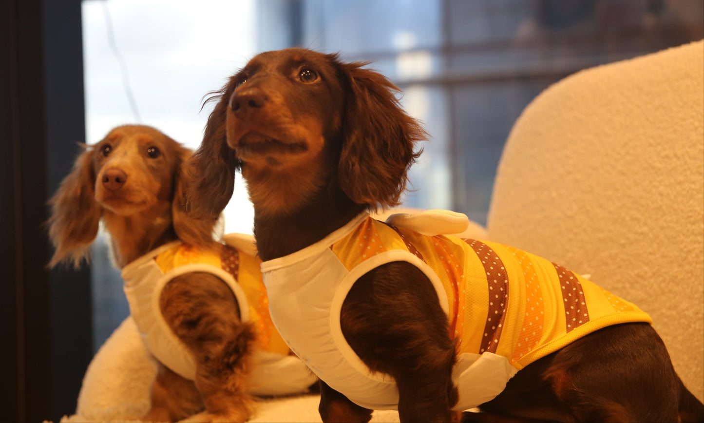 Buzz & Bloom Vest 春日蜜蜂外出衣