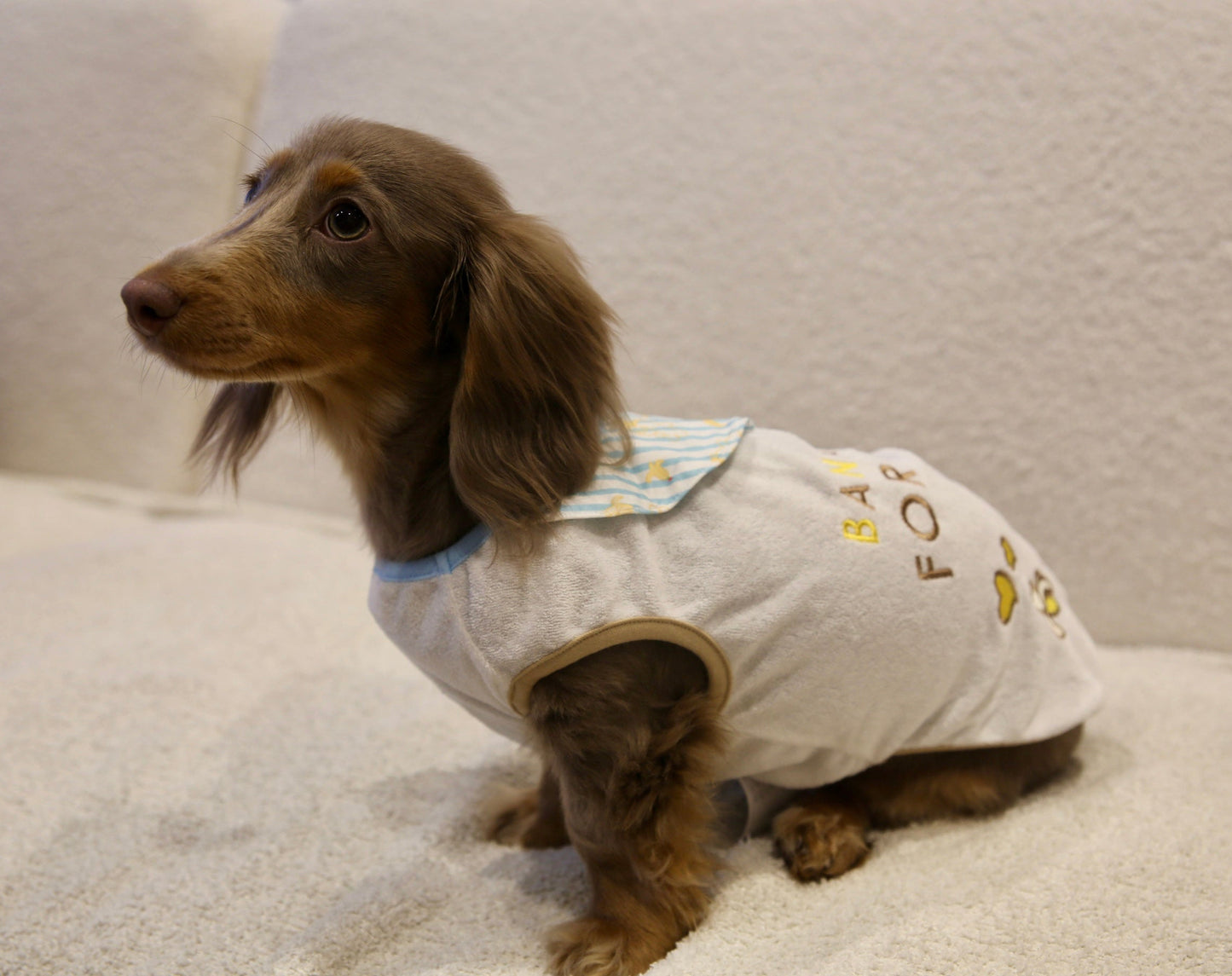 Banana Bear Outfit 香蕉熊熊衣