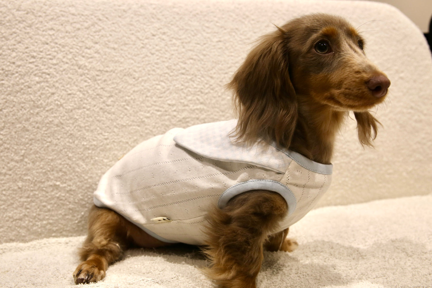 Blue Gingham Knit Top 蓝格针织上衣