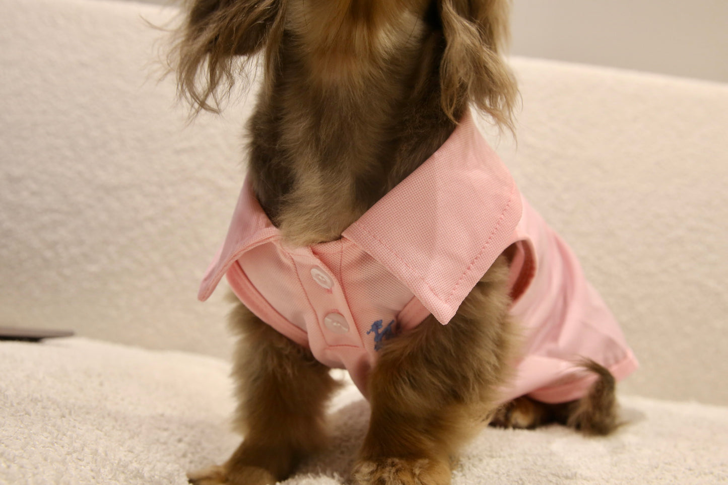 Everyday Chic Polo 日常百搭polo