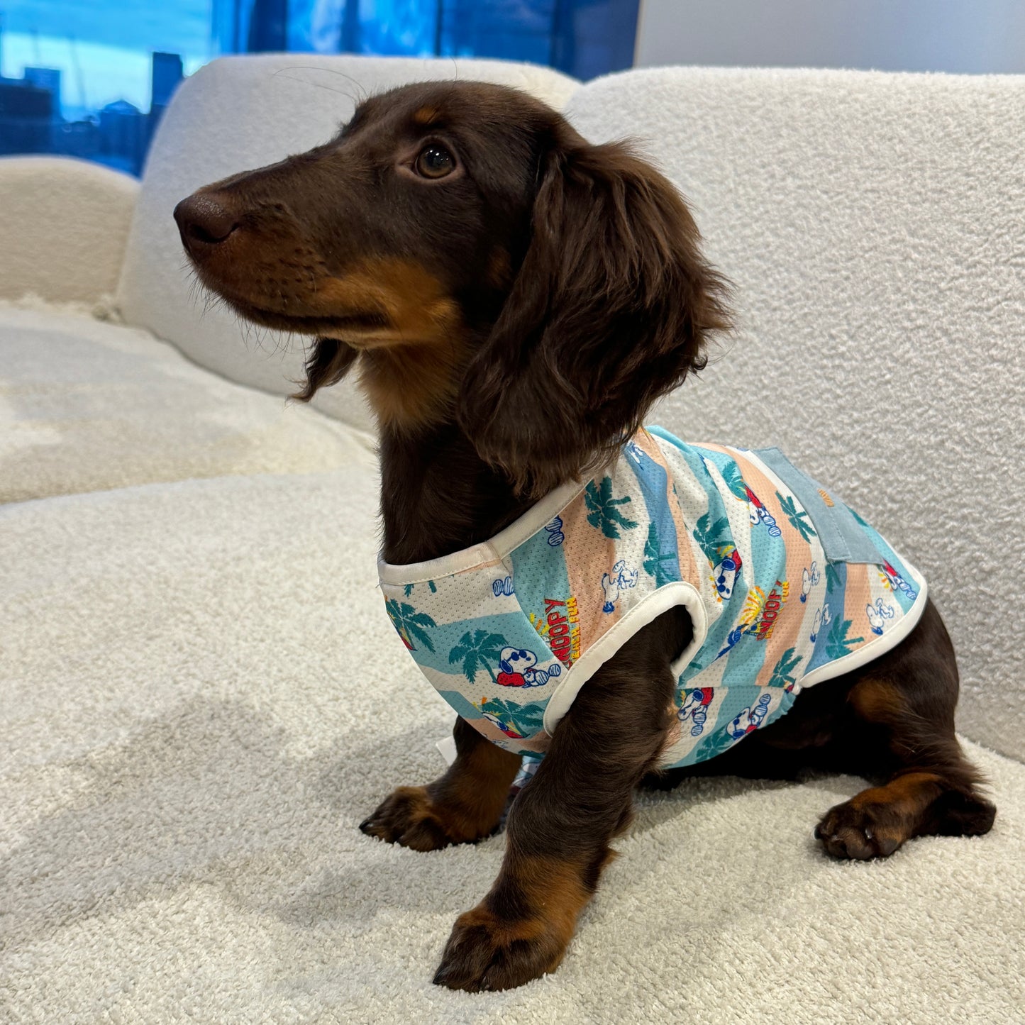 Snoopy Summer Vibes Tee  日本高端·史努比夏日清新T恤