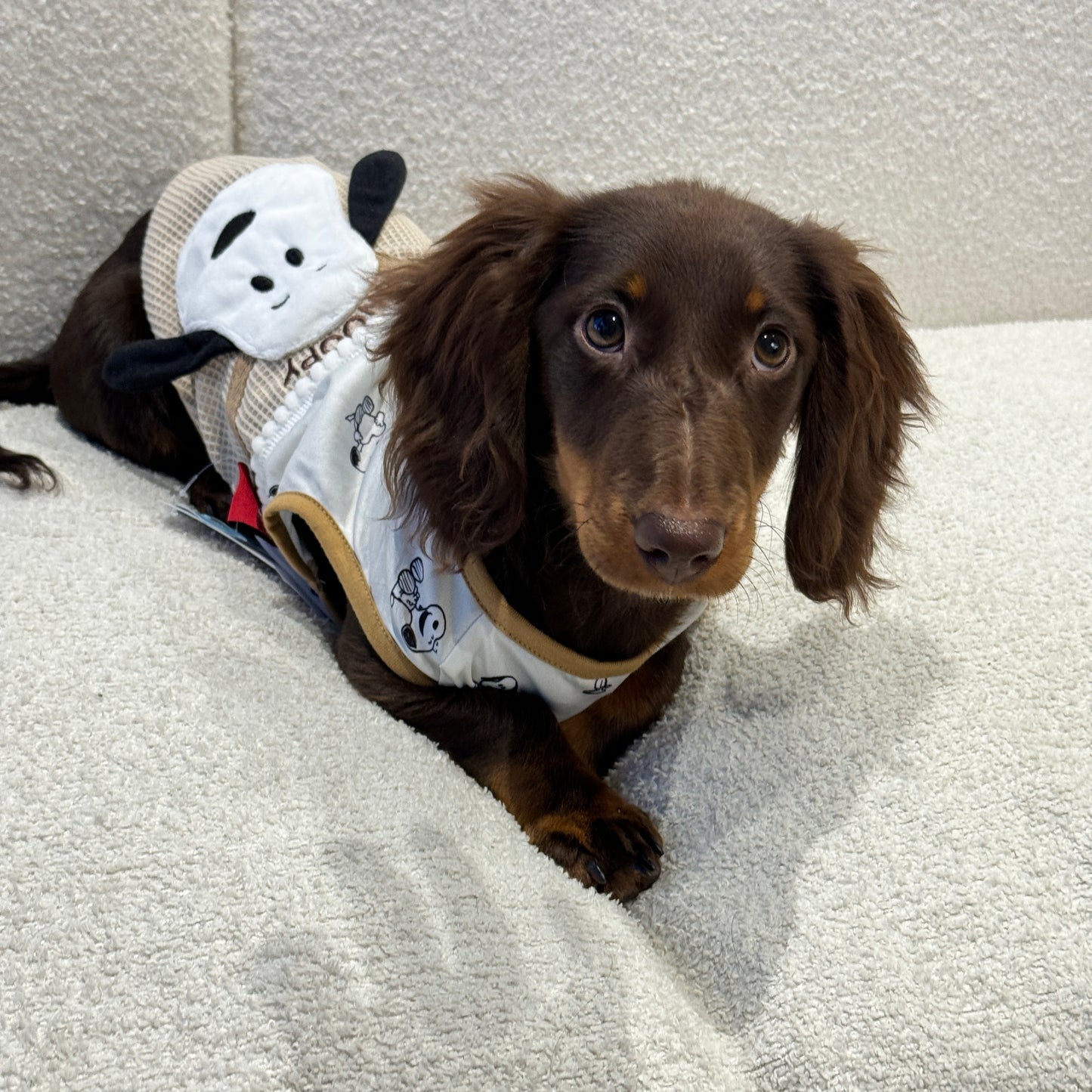 Snoopy Playtime Outfit 史努比萌趣套装