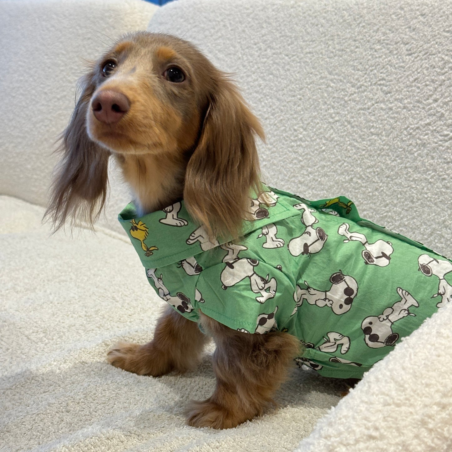 Hawaii snoopy shirt 夏威夷史努比衬衫