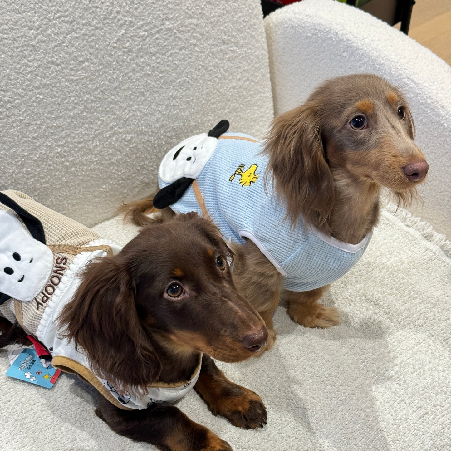 Snoopy Playtime Outfit 史努比萌趣套装