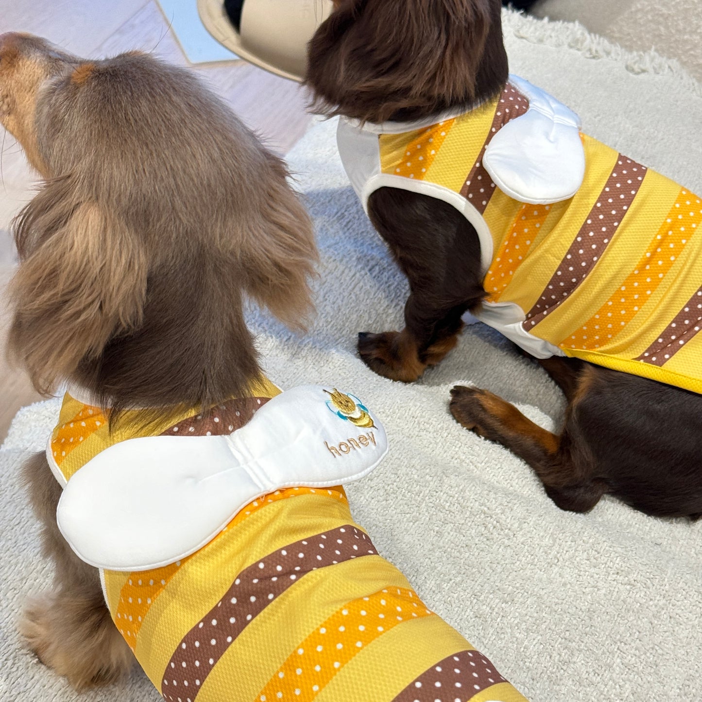 Buzz & Bloom Vest 春日蜜蜂外出衣