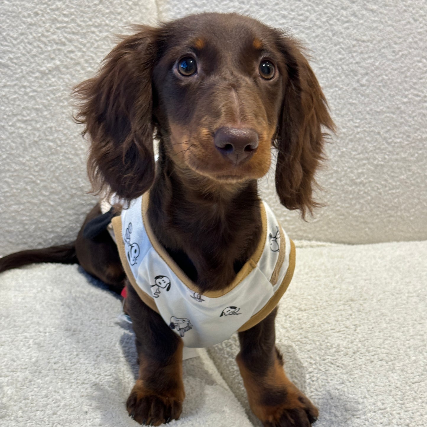 Snoopy Playtime Outfit 史努比萌趣套装