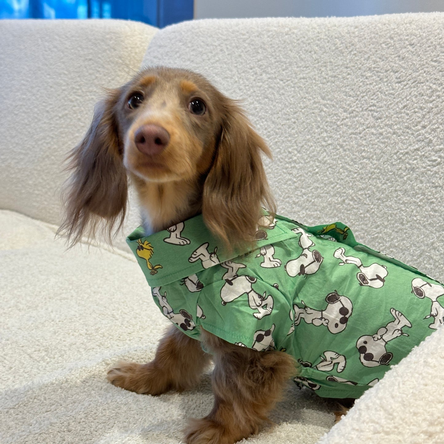 Hawaii snoopy shirt 夏威夷史努比衬衫