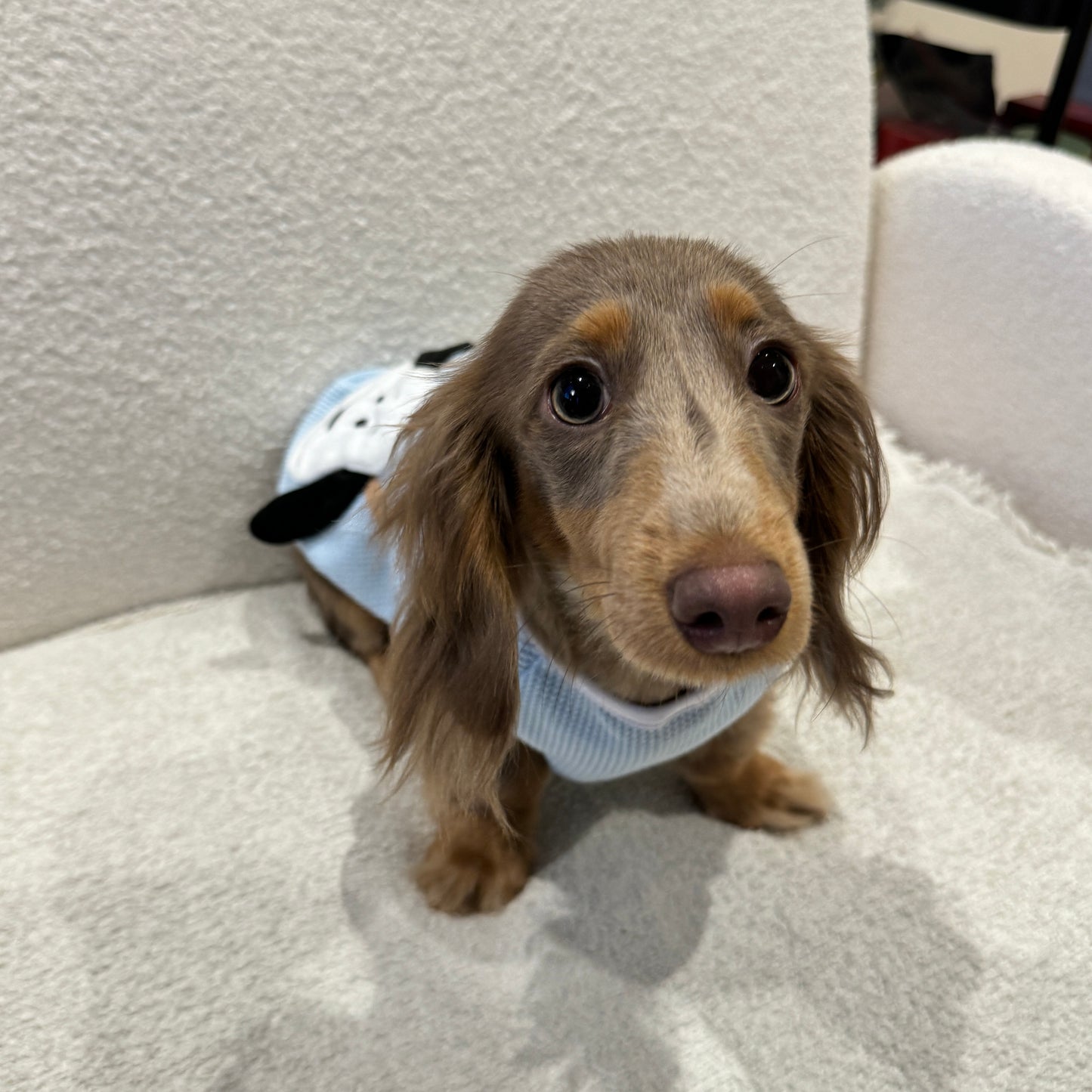 Snoopy Playtime Outfit 史努比萌趣套装