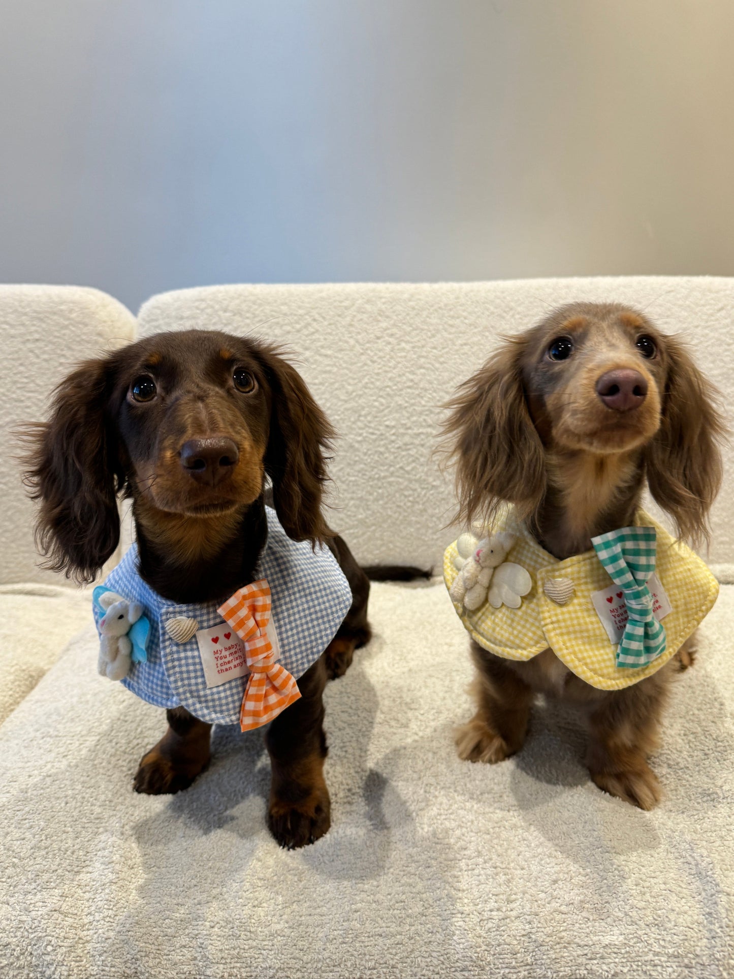 Sweet Gingham Collar 春日格纹娃娃领