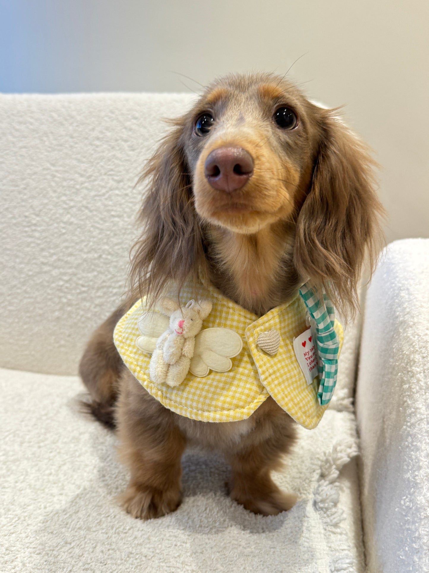 Sweet Gingham Collar 春日格纹娃娃领