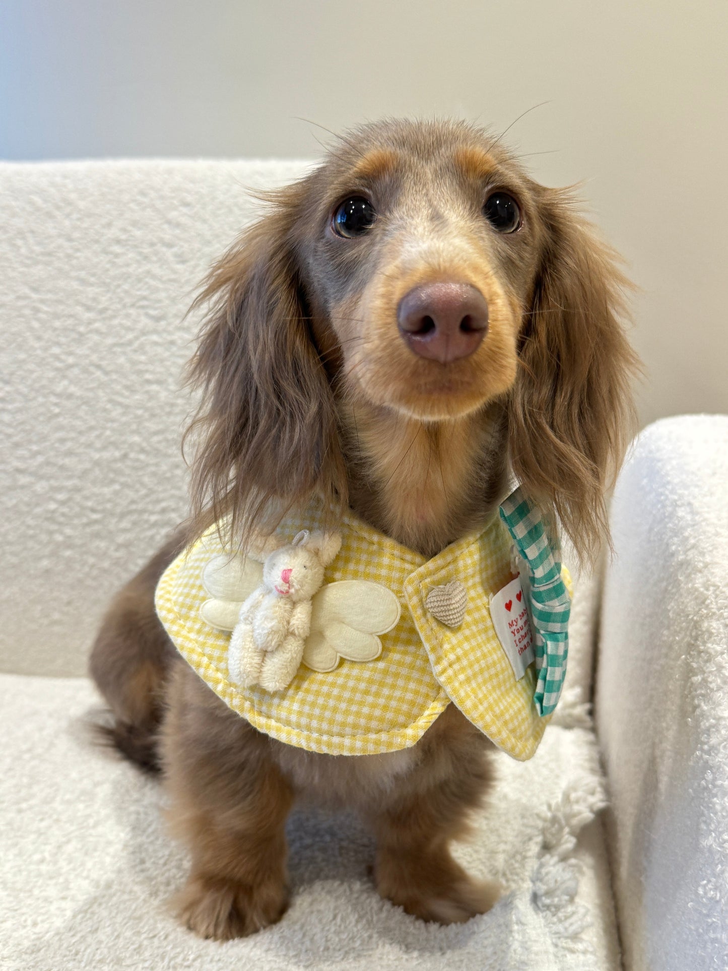 Sweet Gingham Collar 春日格纹娃娃领