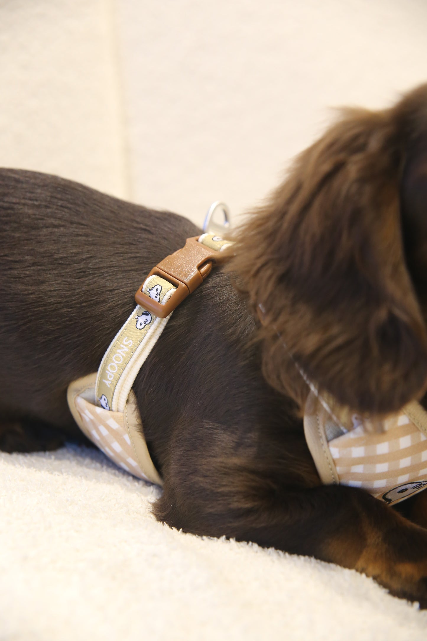 Snoopy Gingham Harness Set  史努比格纹胸背套装