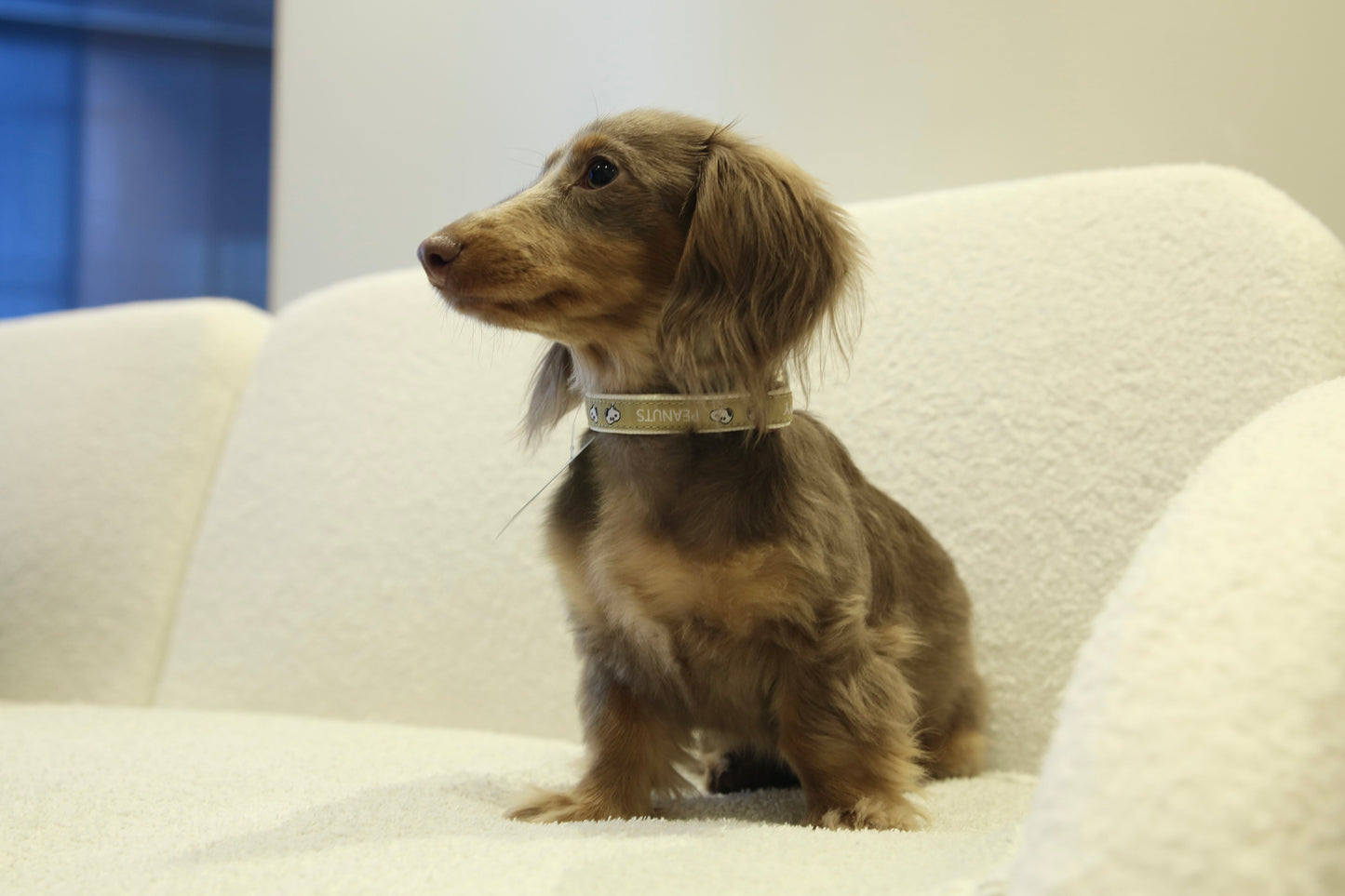 Snoopy Gingham Harness Set  史努比格纹胸背套装