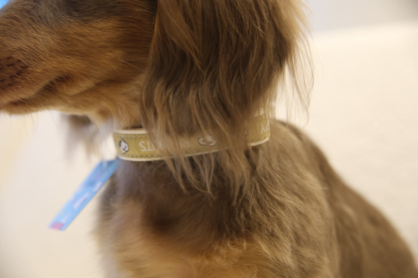 Snoopy Gingham Harness Set  史努比格纹胸背套装