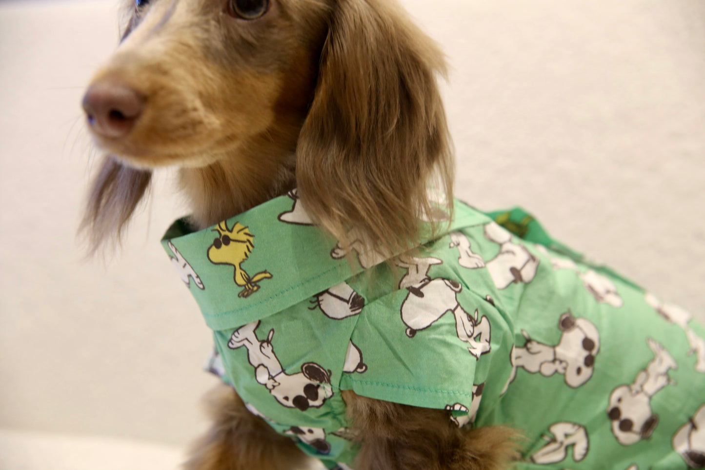 Hawaii snoopy shirt 夏威夷史努比衬衫