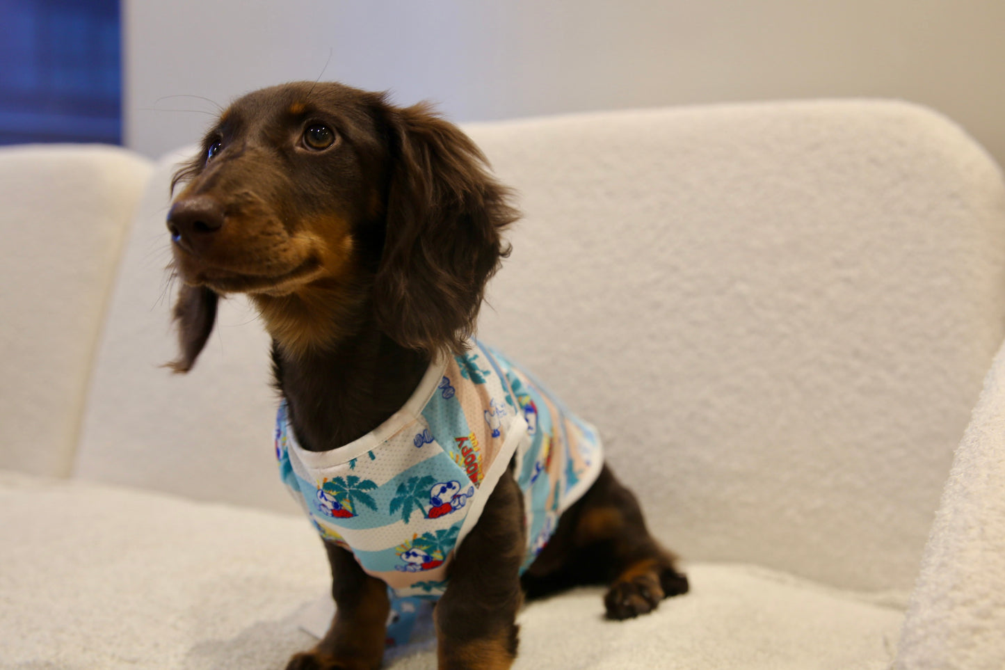 Snoopy Summer Vibes Tee  日本高端·史努比夏日清新T恤