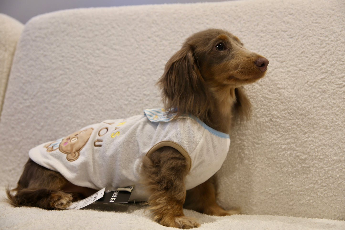 Banana Bear Outfit 香蕉熊熊衣