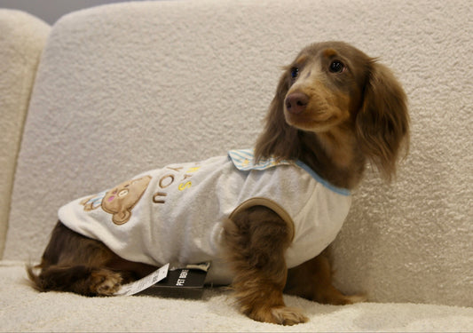 Banana Bear Outfit 香蕉熊熊衣