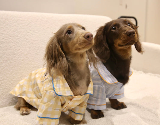 Classic Stripe Top 条纹日常上衣