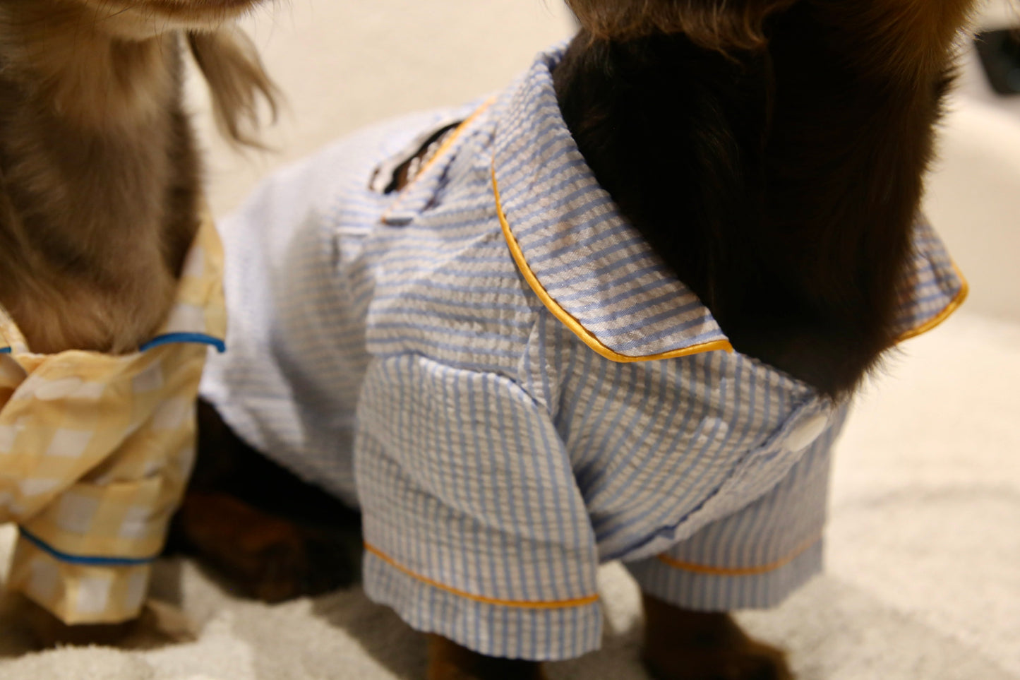 Classic Stripe Top 条纹日常上衣