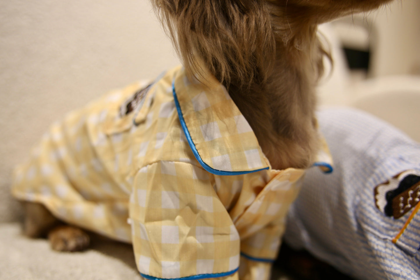 Classic Stripe Top 条纹日常上衣