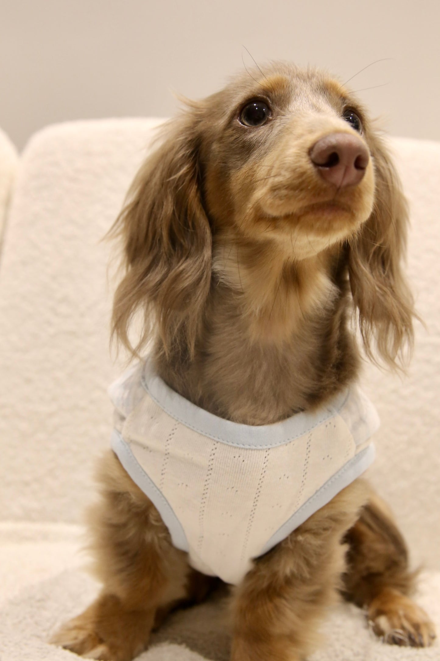 Blue Gingham Knit Top 蓝格针织上衣