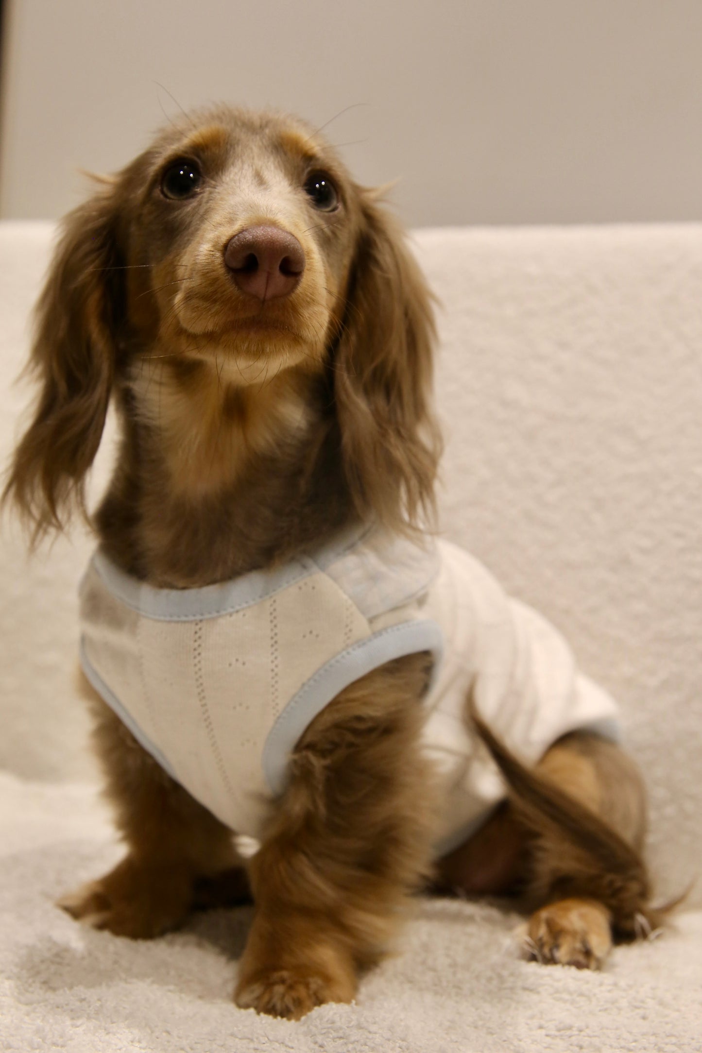 Blue Gingham Knit Top 蓝格针织上衣