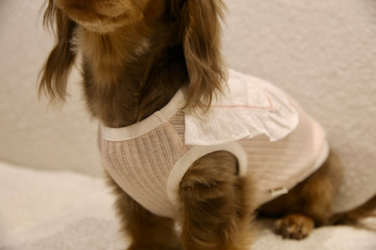 Sweet Ruffle Knit Dress 荷叶边针织连衣裙